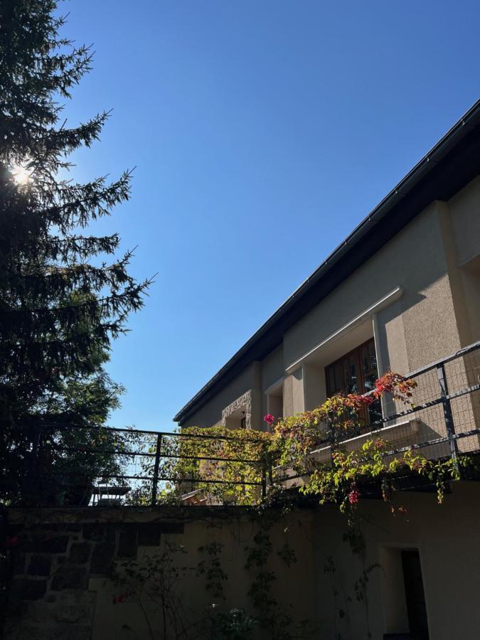 Vila Bellevue Jablonec nad Nisou Exteriör bild